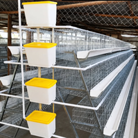 Cages à poules pondeuses en batterie 4 niveaux pour 20 000 poules, élevage avicole de grande capacité, conception directe usine WIN
