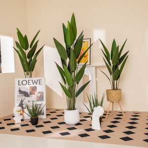 Vente en gros de bananes en pot, oiseaux de plantes de paradis, nouveau design décoratif pour la maison - Product Image 6