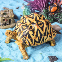 Les jouets solides pour enfants yxs simulent des modèles de vie marine : tortue étoilée indienne, tortue, tortue à carapace souple, crocodile-musc.