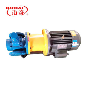 Pompe à engrenages circulaires série YCB motorisée pour le transfert et la circulation d'huile de biocarburant 0,6-1,6 MPa, support OEM - Product Image 3