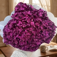 Groothandelsprijs Hoge Kwaliteit Gedroogde Hortensia Bloemblaadjes 15-17cm voor Huis Bruiloft Moederdag Decoratie - Meerdere Kleuren