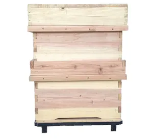 Factory price two layer Korea style Bee Hives for honey bee hive for korea beehive