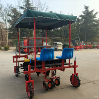 Transplanteur double rangée LiGeng : Haute productivité, motorisé, grande vitesse de travail, livraison stable des semis, pour l'agriculture