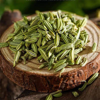 Graines de fenouil de qualité supérieure, qualité export, pures et naturelles, fournisseur en gros pour les épices et les assaisonnements