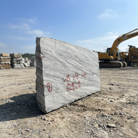 TY Shandong Granit Gris Blanc Naturel Écologique Moderne, Petite Dalle Brossée, Solution Complète pour Plans de Travail de Cuisine de Villa et de Parc