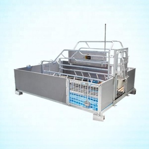 Jaulas de Paridera para Cerdas HENGYIN Nuevas, Certificadas por la CE e ISO 9001, con una Vida Útil de 15 a 25 Años, Totalmente Ajustables, para el Parto, Galvanizadas en Caliente - Product Image 1