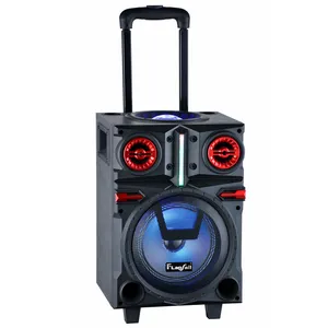 China professional audio supplier 8" portable karaoke wireless blue tooth koda speaker with trolley and nfc