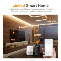 Produits pour la maison intelligente Matter Over Wifi Moteur de rideau Google Home Smartthings Home App Système de rideau automatique