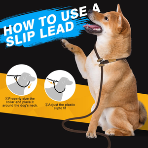 High Quality Classic Heavy Duty Dog <b>Training</b> <b>Lead</b> Leash No Pull Design Polypropylene Durable Pet Leash for Daily Dog Walking - Product Image 5