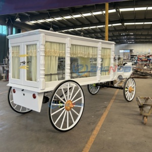 Customizable Electric Funeral Hearse Car Steel and Leather with Electric Roman Special Transportation Funeral Hearse Carriage - Product Image 1