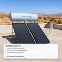 Chauffe-eau solaire à plaques plates avec panneaux à double collecteur et réservoir en acier revêtu pour l'eau chaude domestique