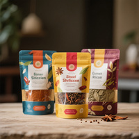 Emballage en plastique d'épices personnalisé petite preuve de feuille d'aluminium assaisonnement au paprika alimentaire 50g sac d'épices Condiment scellé pochette debout
