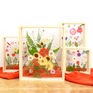Solid Wood Acrylic Specimen Photo <b>Frame</b> Double-Sided Transparent Rectangular Tabletop Display <b>Frame</b> For DIY 3D Art - Product Image 1