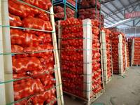 Verse Gele Uien Uit China Leverancier In Uien China Import Verse Uien Te Koop