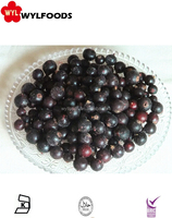 Bevroren Zwarte Bes Eersteklas Gedroogd Fruit Voor Uw Gezonde Snack Of Culinaire Lekkernijen