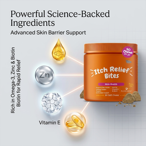 Probiotiques pour chiens sous forme de friandises molles, enzymes digestives, soutien immunitaire, santé intestinale, soulagement des démangeaisons, apaisement de la peau irritée, soulagement des allergies, biologique - Product Image 3