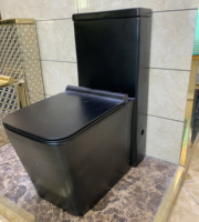 Toilettes sanitaires au sol en céramique noire mate de style moderne avec technologie de siphon à double chasse d'eau