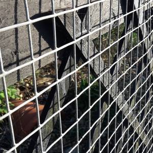 Pannelli in Rete Metallica Saldata di Qualità Affidabile per Gabbie per Cani, Gabbie per Uccelli, Gabbie per Galline Ovaiole e Gabbie per Polli - Product Image 1