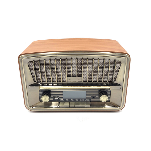 FM DAB+ Digital Radio Factory price