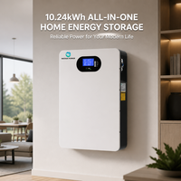 Système de stockage d'énergie INEDGE POWER hors réseau pour maison intelligente, BMS 10 kW, batterie solaire hybride tout-en-un LiFePO4 10 kWh à montage mural