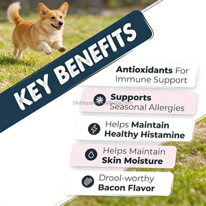 Veteriner-önerilen köpek eklem takviyesi-Glucosamine & <span class=keywords><strong>Chondroitin</strong></span> yumuşak çiğneme, destek hareketlilik ve artrit rahatlama, - Product Image 2
