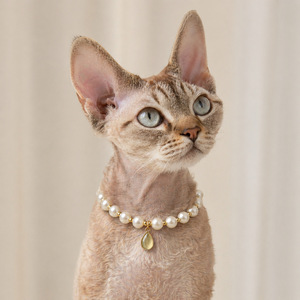Collar de Lujo para Mascotas con Perlas de Imitación, Elegante Gargantilla con Cuentas y Colgante de Lágrima Rosa, Estilo Francés, para Perros Pequeños - Product Image 2