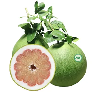 POMELO BUY GREEN SKIN POMELO 100% HIGH QUALITY FOR WHOLESALE CHEAP PRICE ORIGIN VIETNAM FARM GLOBAL GAP