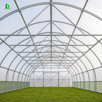 Serre agricole galvanisée de 6 m de large avec parois droites de 2 m, film PE résistant aux UV de 200 microns, diffusion de la lumière, serre de pépinière