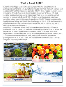 تحليل البكتيريا المائية للكشف عن الماء E.coli اختبار مياه الشرب والغذاء - Product Image 5