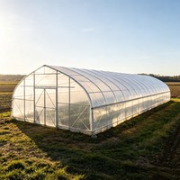 Serre en PE monocouche de grande taille 30 x 10 m avec système de ventilation pour la culture de fleurs et de plantes