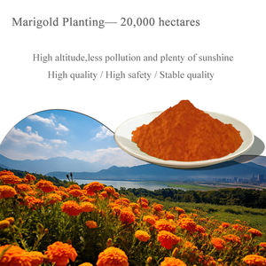 مسحوق كريستال لوتين طبيعي عالي النقاء ، خلاصة القطيفة ، مكمل غذائي لصحة العين - Product Image 2