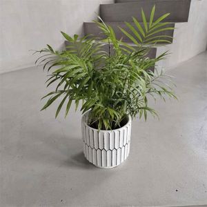 Macetas y Jardineras Decorativas Redondas Nórdicas de Cemento para Interiores, Grandes, Artificiales, para el Hogar - Product Image 4