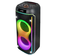 Vente chaude Super Bass 6.5 pouces Subwoofer Haut-parleur 40W Haut-parleur karaoké avec micro Haut-parleur personnalisé Système de karaoké Son
