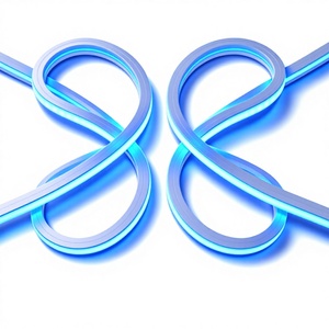 IP65 Waterproof DC12V LED <b>Neon</b> <b>Flex</b> 10x10mm Silicone Double-Layer Coated CRI 80 or Business Advertising - Product Image 1