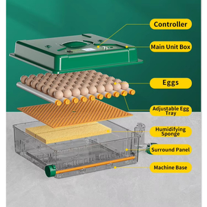 Dernier contrôle automatique de l'humidité 24 Pcs Mini incubateur d'œufs de poule et <span class=keywords><strong>machine</strong></span> à couver - Product Image 5