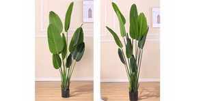 Bananiers artificiels tropicaux décoratifs de Style nordique Plante en pot en plastique Bonsaï Arbustes Plantes artificielles décoratives - Product Image 3