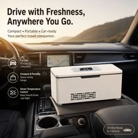 Estuche Refrigerador para Inyectores y Plumas de Péptidos, Mini Nevera Portátil, Organizador de Frascos y Cajas