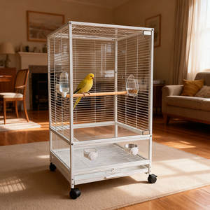<span class=keywords><strong>Cage</strong></span> à oiseaux très vendue, cages pour animaux de compagnie, <span class=keywords><strong>cage</strong></span> simple, double et triple étage avec base pour l'élevage et la vie des perroquets - Product Image 4