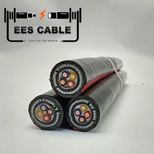 <span class=keywords><strong>สาย</strong></span><span class=keywords><strong>ไฟ</strong></span>ฟ้าหุ้มเกราะ YJV32 0.6/1kV ชนิด CU XLPE SWA PVC IEC 60502-1 ขนาด <span class=keywords><strong>2x4</strong></span> 3x4 4x4 5x4 2.5 6 10 16 25 35 50 70 95 120 ตร.มม. - Product Image 4