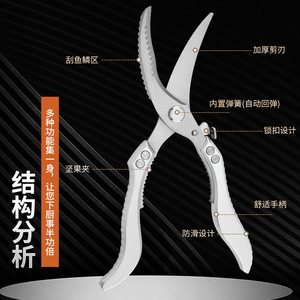 Kitchen Chicken Bone Scissors Stainless Steel Heavy Duty Multi Functional For Cooking And Barbecue - Product Image 4
