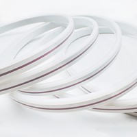 Bande lumineuse néon flexible pour extérieur, 12V, 120 LED/m, 12W/m, PVC, IP67, étanche, Ra80, dimmable, 3000K/4000K/6500K, pour aménagement paysager DIY