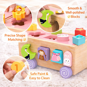 स्मार्ट 18 छेद पशु के आकार की खुफिया कार मोंटेसरी लकड़ी के खिलौने बॉक्स स्टेम नए खिलौने - Product Image 2