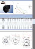 Fournisseur vérifié JEEK Souffleur d'air centrifuge autonome 220V 85W 2200 tr/min pour château gonflable Sky Dancer 130flj1