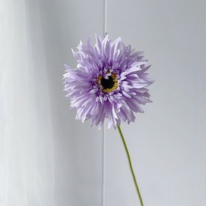 ดอกเจอร์เบอร์ราสีสันสดใสสำหรับจัดดอกไม้ <span class=keywords><strong>ราคา</strong></span>สุดคุ้ม โปรโมชั่นลดราคา - Product Image 6