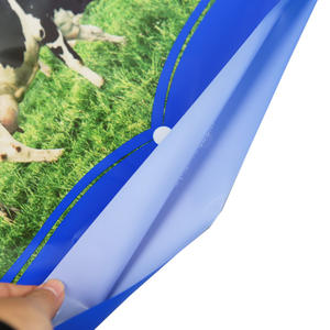 Sac <span class=keywords><strong>de</strong></span> poudre <span class=keywords><strong>de</strong></span> protéines 1kg 2kg emballage <span class=keywords><strong>de</strong></span> céréales <span class=keywords><strong>de</strong></span> noix <span class=keywords><strong>de</strong></span> <span class=keywords><strong>coco</strong></span> sac <span class=keywords><strong>de</strong></span> poudre <span class=keywords><strong>de</strong></span> lait <span class=keywords><strong>5kg</strong></span> sac à fermeture éclair pour poudre <span class=keywords><strong>de</strong></span> protéine <span class=keywords><strong>de</strong></span> lactosérum - Product Image 5