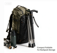 Bâton de randonnée extensible à 3 sections avec poignée en forme de T, canne en acier allié de 37 pouces, accessoires de camping et de randonnée, bâton de randonnée avec boussole