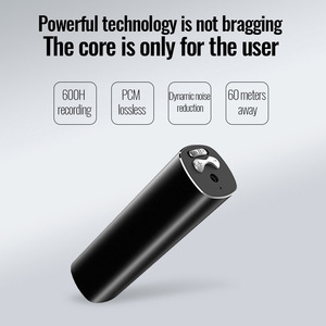 Chuyên nghiệp Độ nét cao giảm tiếng ồn kỹ thuật số ghi âm được mã hóa mp3ai ghi âm từ tính ghi âm âm thanh WAV - Product Image 2