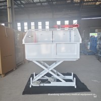 Baignoire pour animaux de compagnie en acier inoxydable 304 avec design de sécurité aux coins arrondis pour un toilettage confortable, fabricant direct de Chine