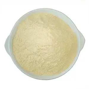 天然オーガニックレモンフルーツパウダーピュアスプレードライレモンジュースパウダー - Product Image 1