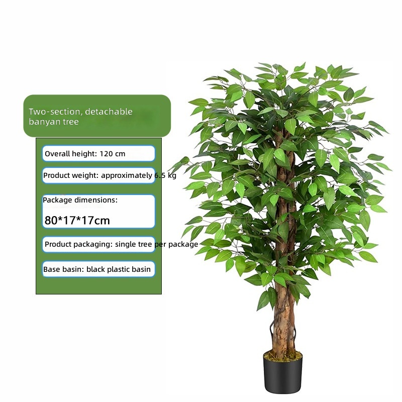 6000.00g section disassembly and assembly simulation banyan tree